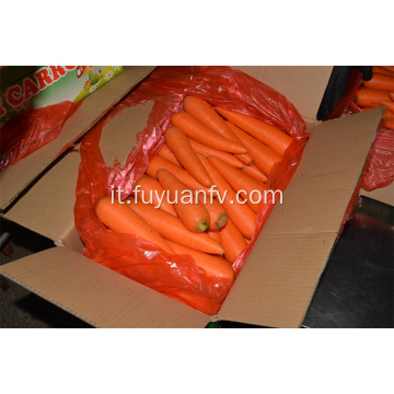 Prezzo di fabbrica di carote fresche con buona qualità